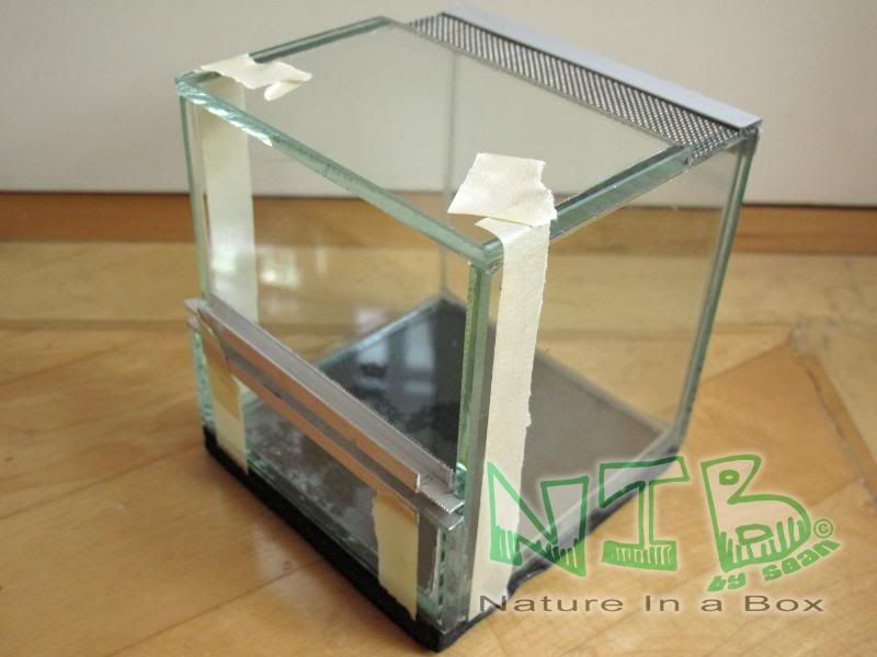 Convert a glass aquarium to a European style terrarium Dendroboard